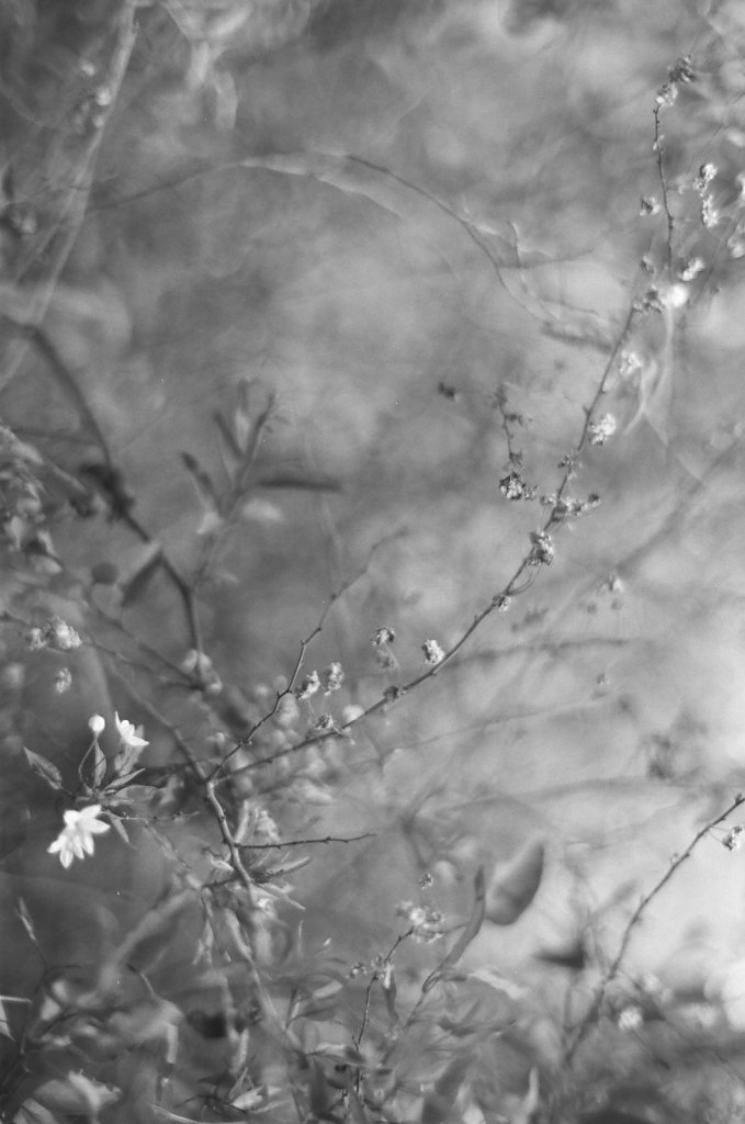 Hanami 2023 - 2