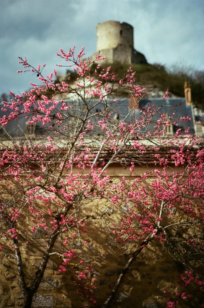 Hanami 2025 - 2