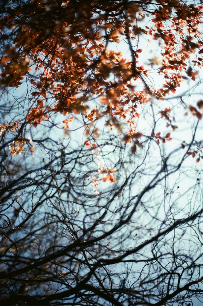 Hanami 2025 - 24