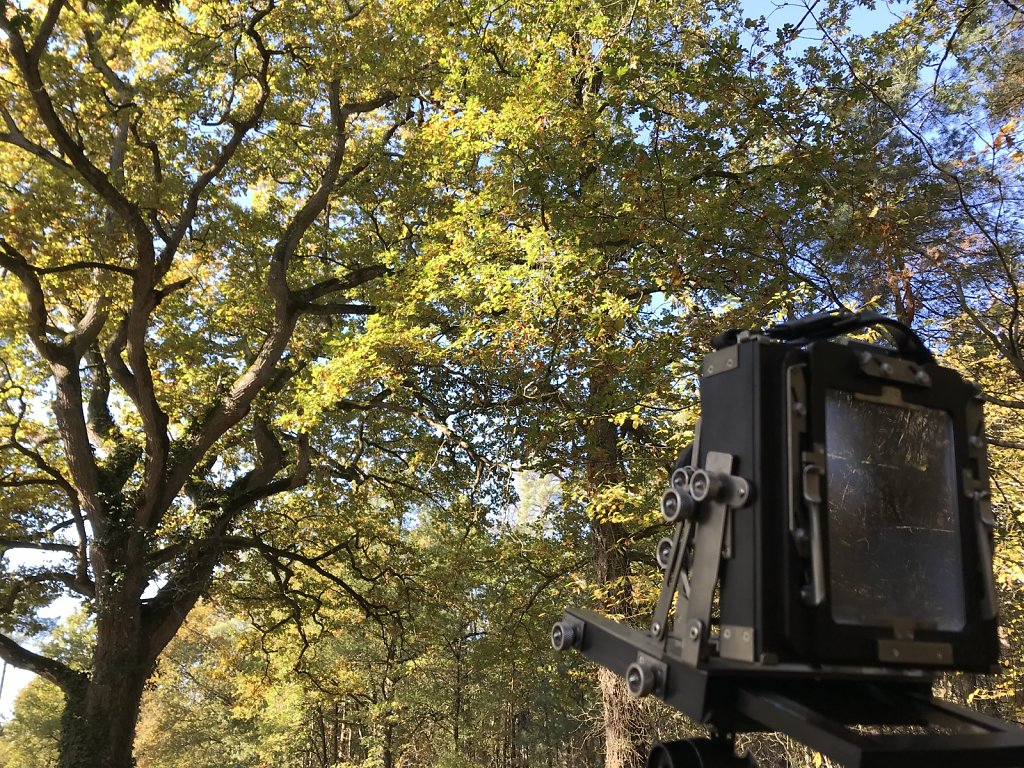 Projet IV - Prise de vue