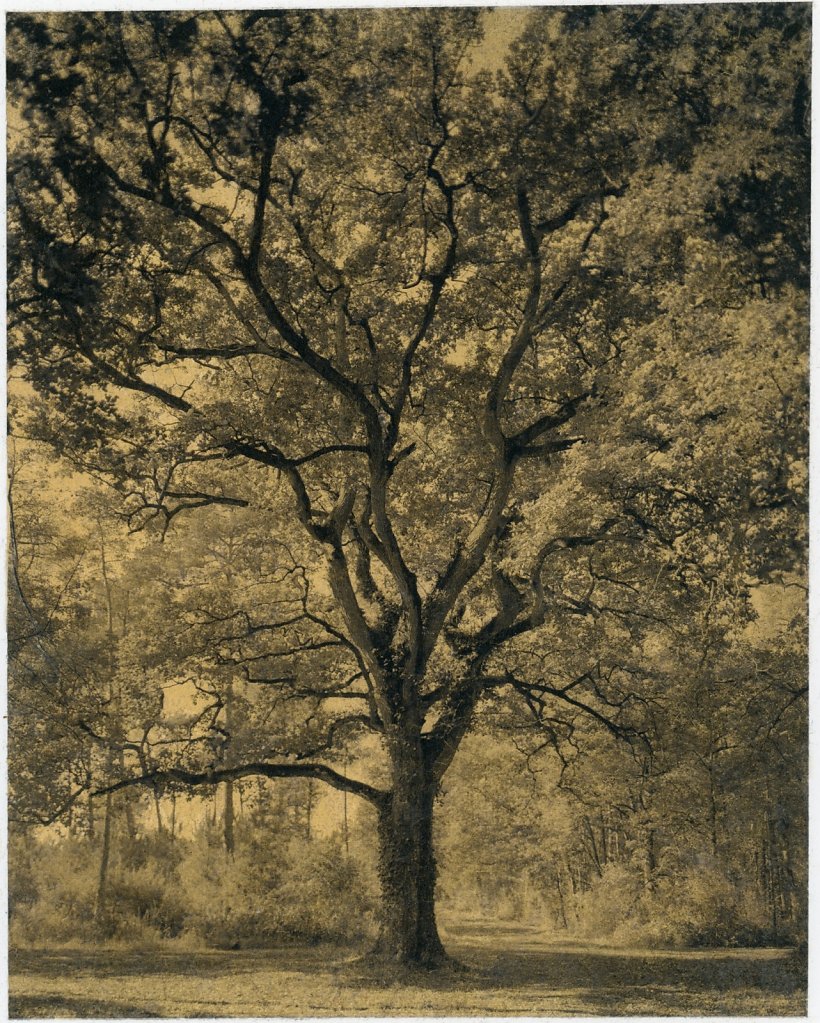 Projet IV - Tirage final